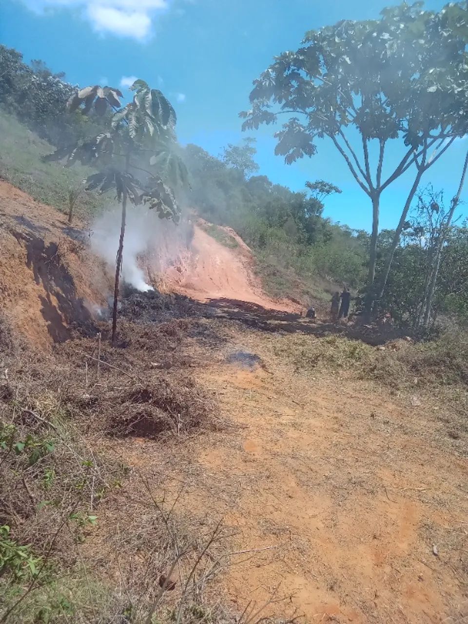 Vendo terreno em perobas paraju ES - Foto 3