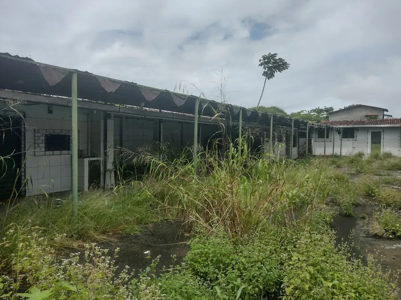 Oportunidade Área Comercial, Principal da Santa Amélia - Foto 4