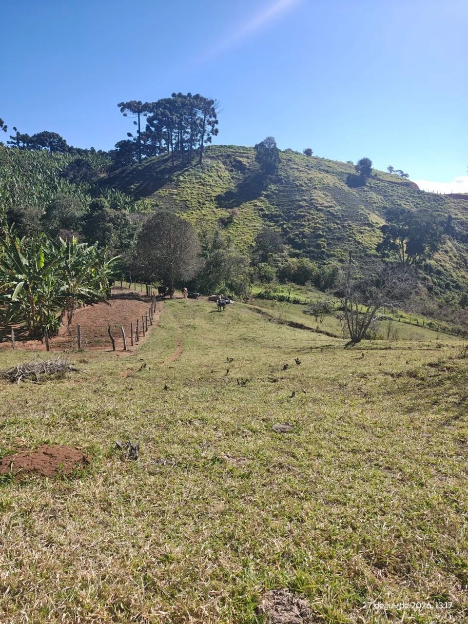 Terras no sul de minas - Foto 3