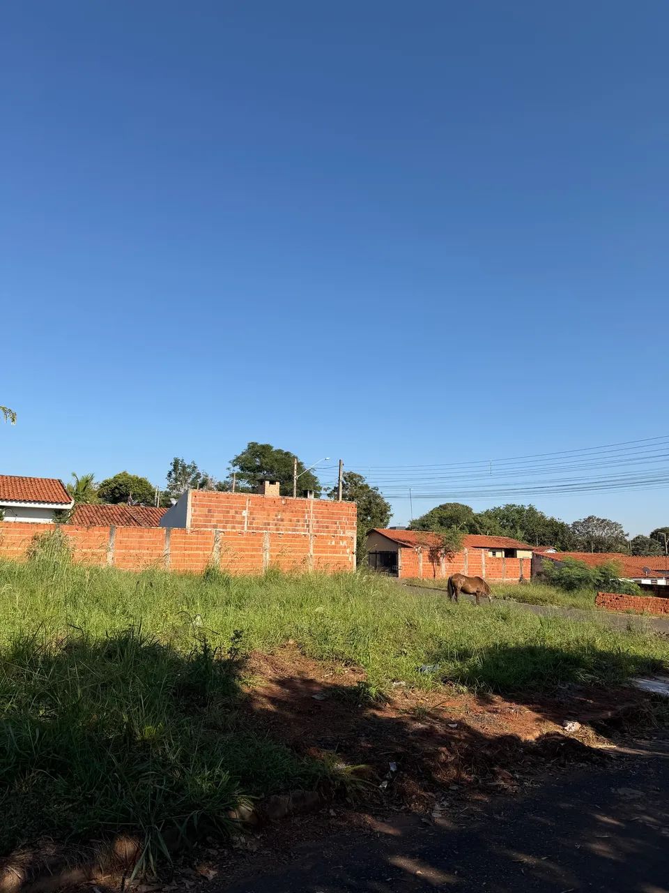 TERRENO EM UCHOA / SP  - Foto 3