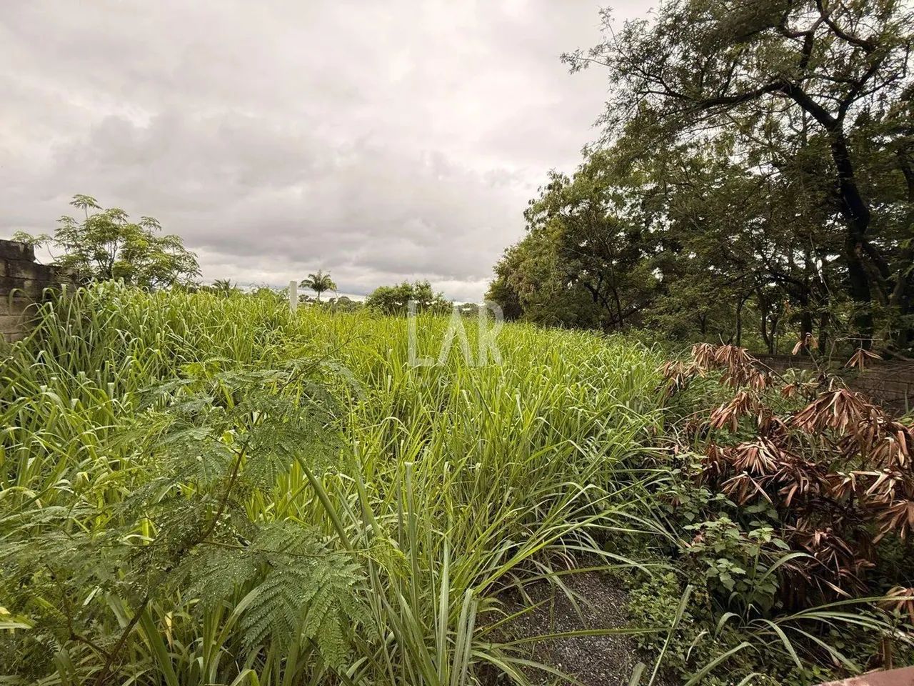 Lote - Terreno à venda, Garças - Belo Horizonte/MG