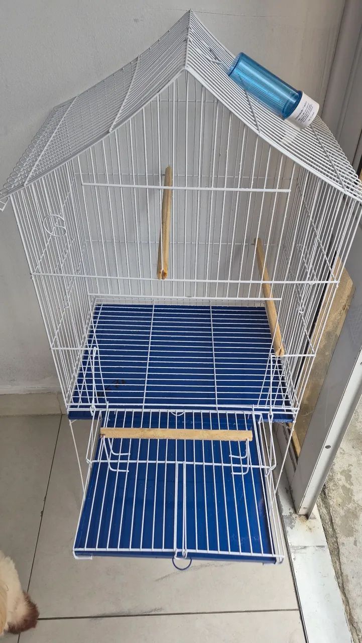 Gaiola de Pássaro - Foto 5