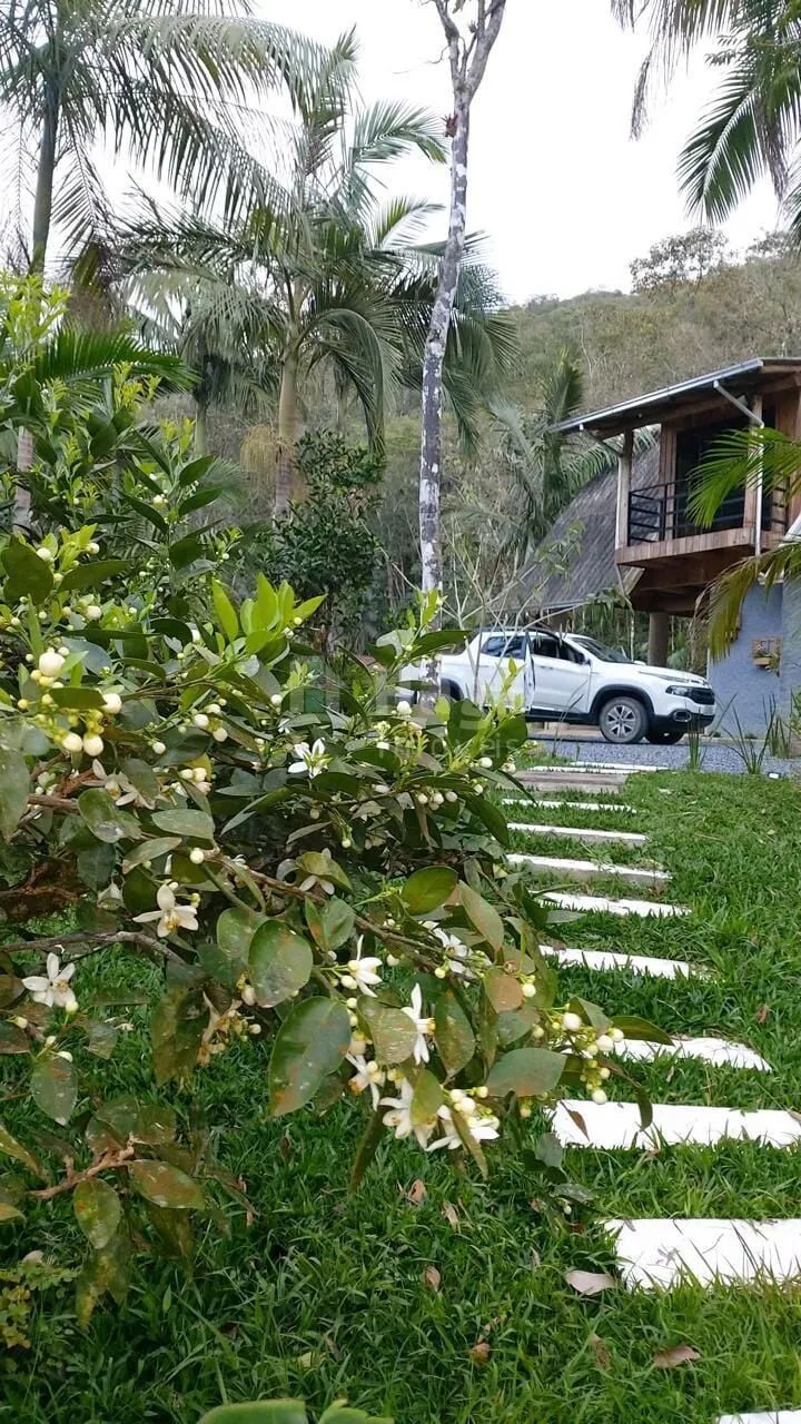 Sítio à venda em Nova Trento/SC - Foto 4