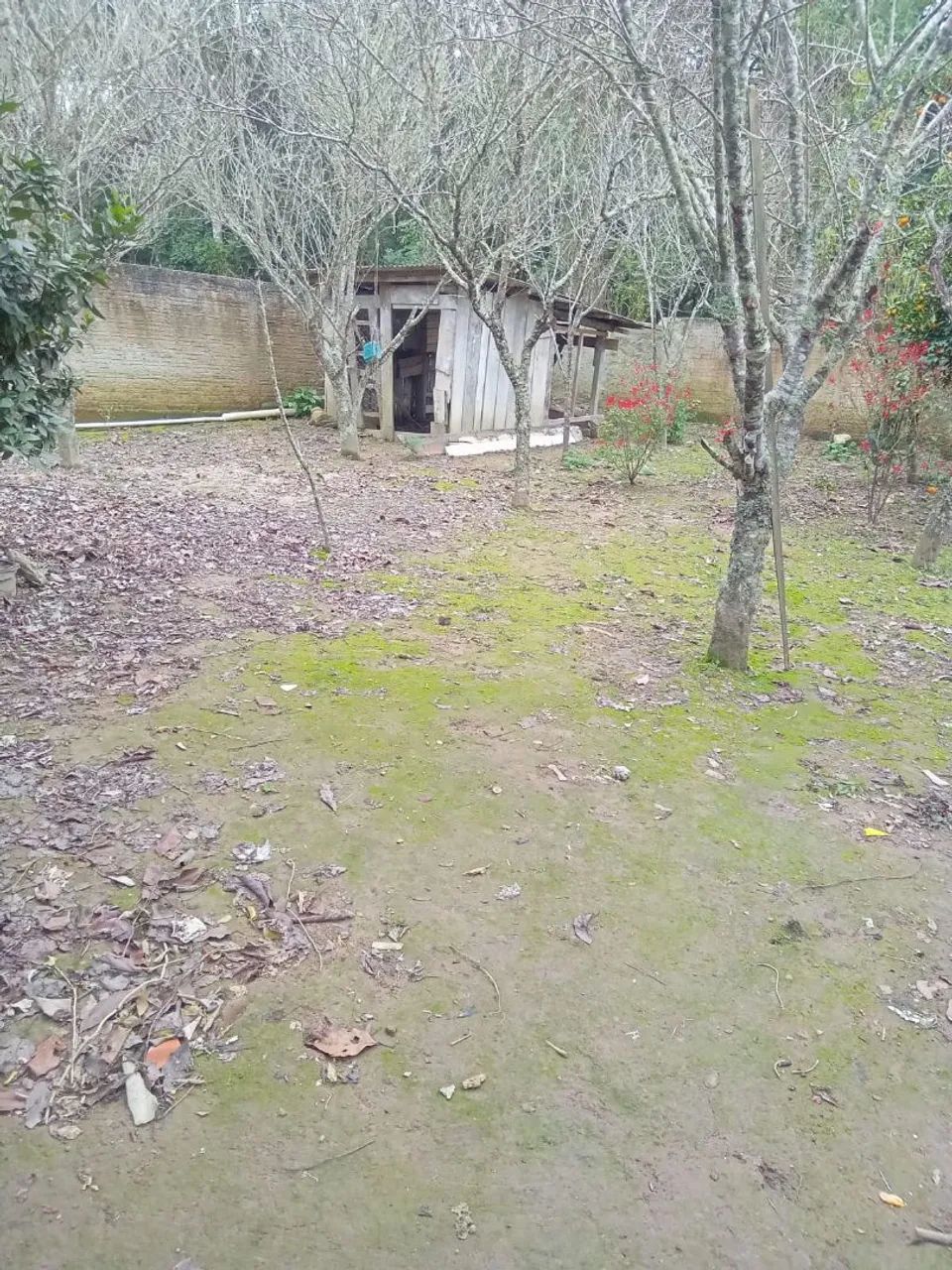 Chacara em Mandirituba - Foto 3
