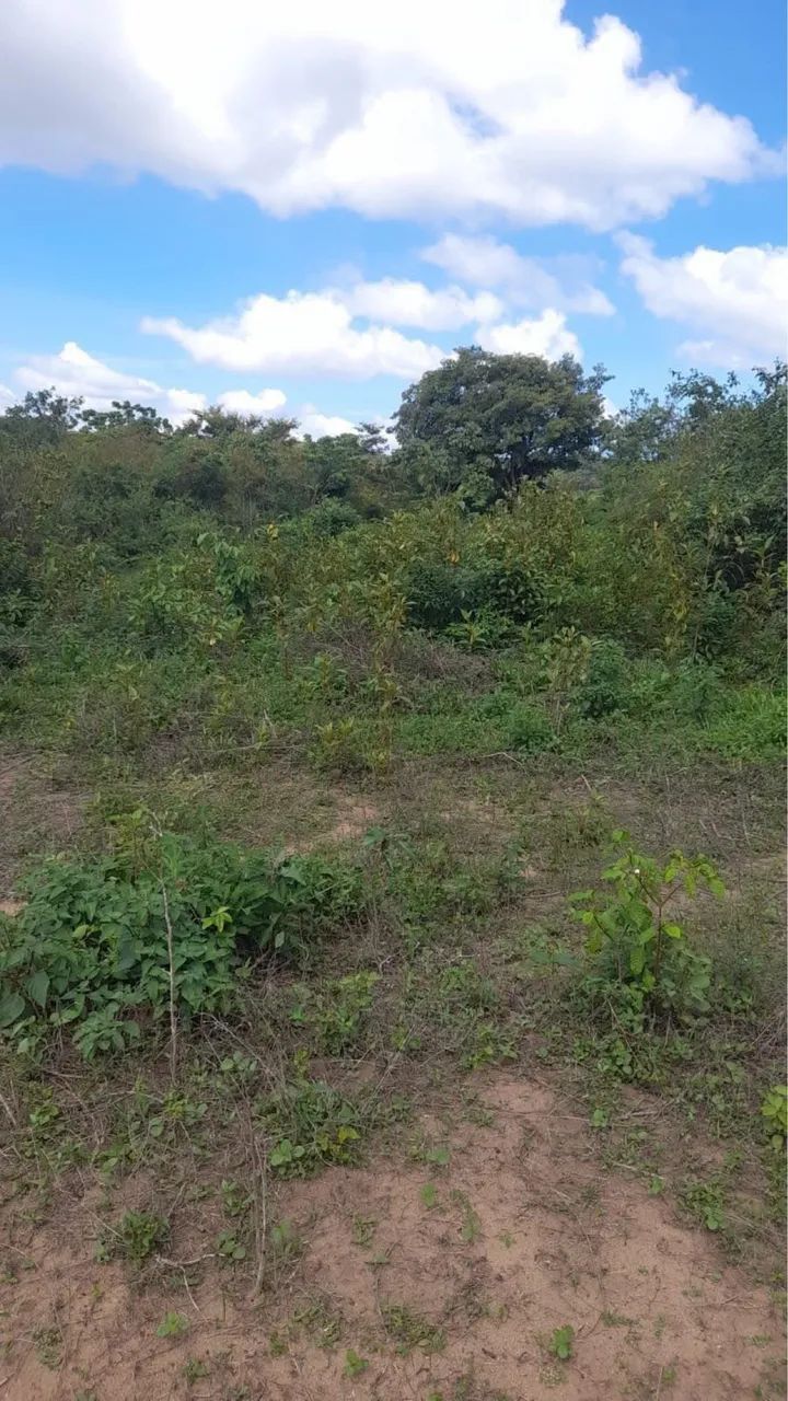 Vendo 2 terrenos 25.000 cada  - Foto 2