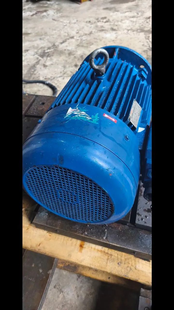 Motor 30 CV  - Foto 2