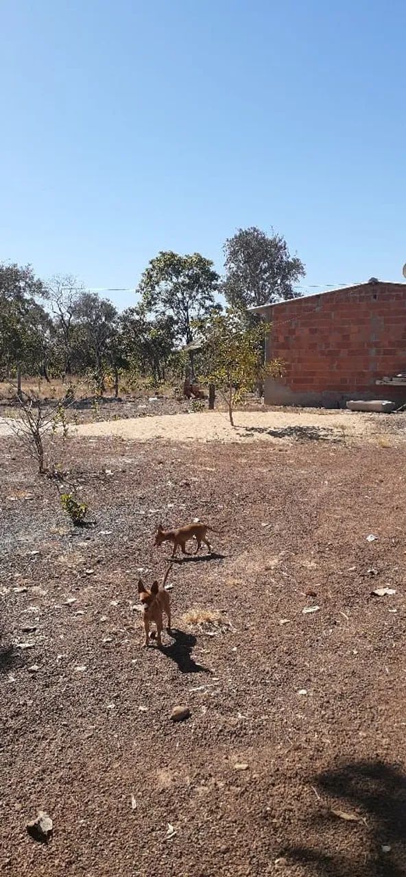 Terreno/ Casa - Foto 3