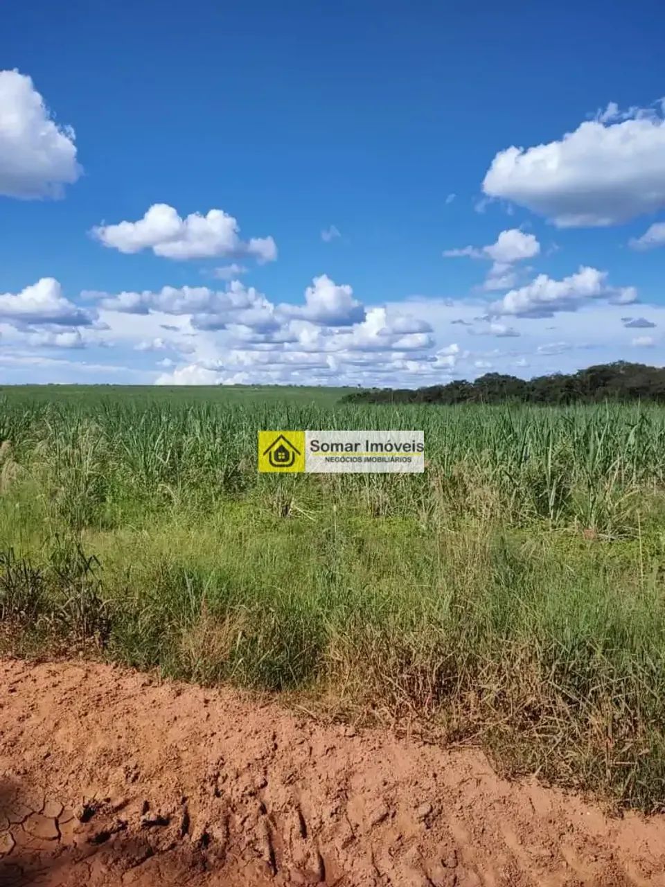 FAZENDA COM 400 HA NA CIDADE DE POMPEU A VENDA - Foto 3