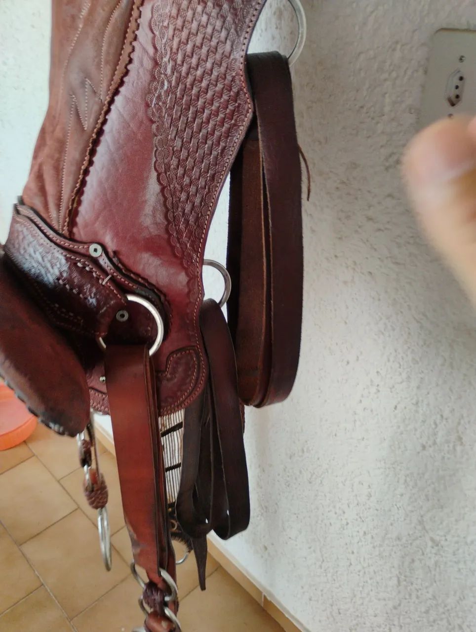 Cela para cavalos - Foto 2