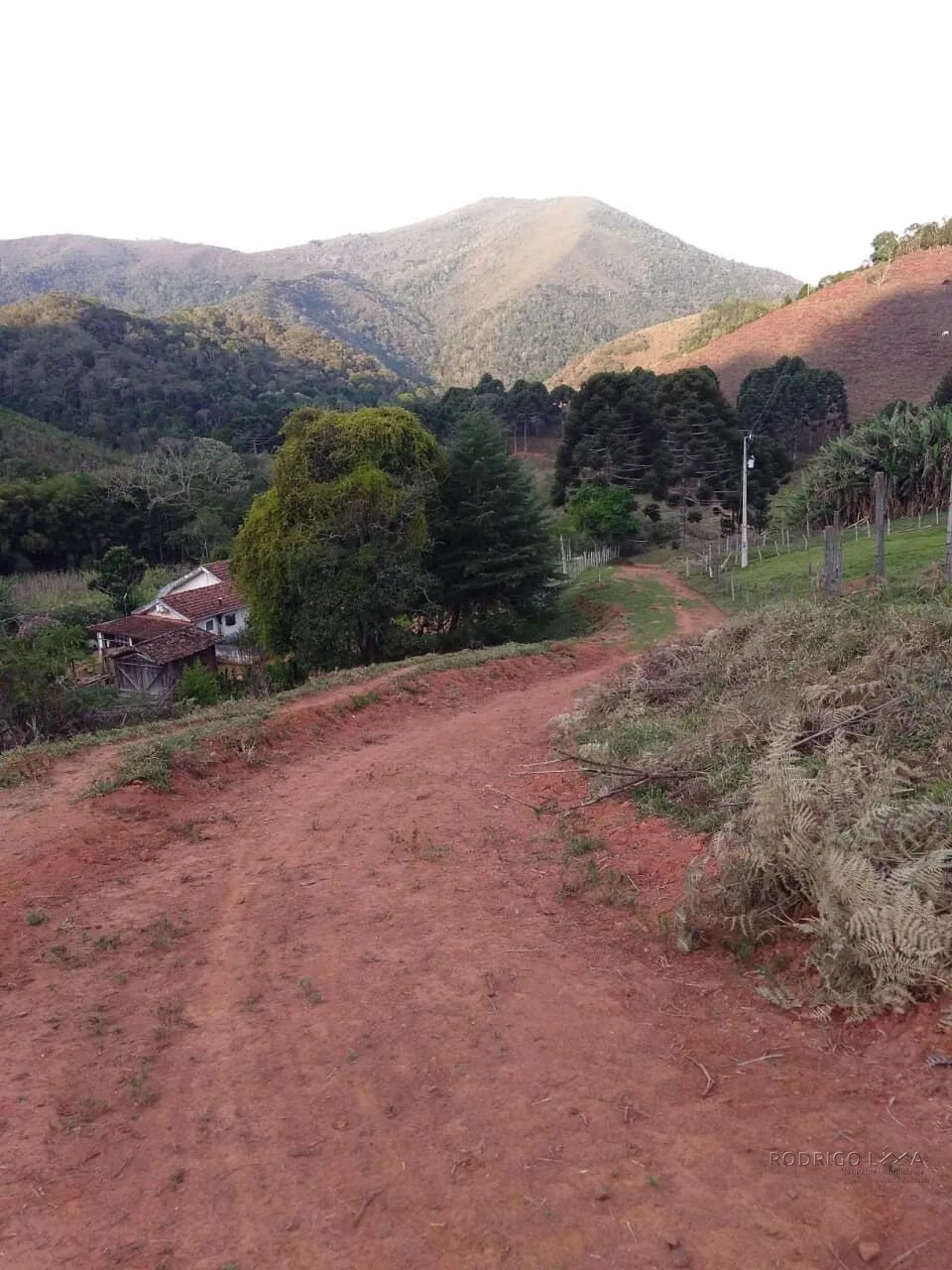 Sítio para venda em Carvalhos MG - Foto 5