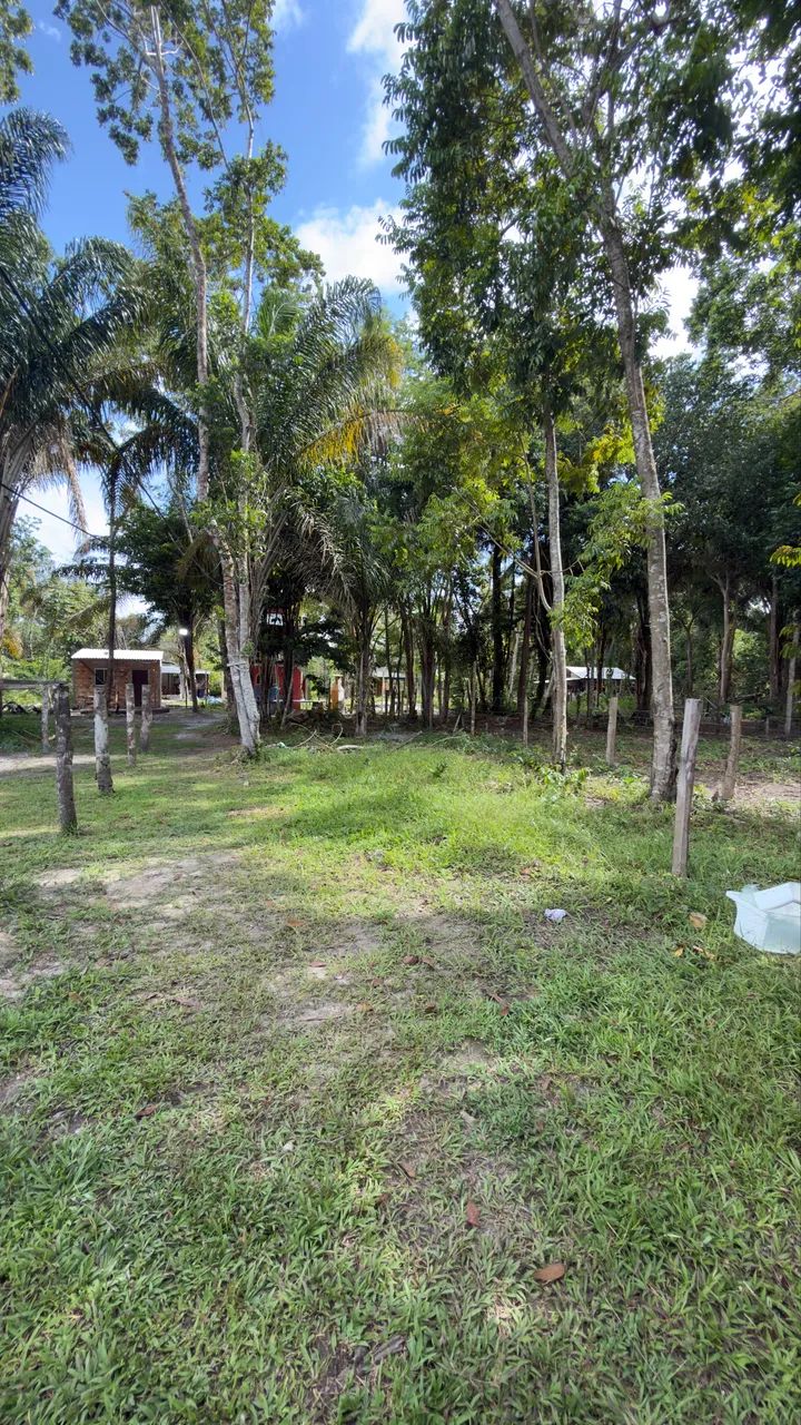 Terreno Cotijuba  - Foto 2