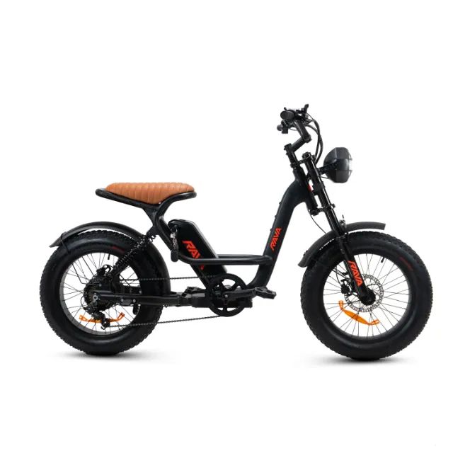 Bike eletrica RAVA e-pulse 800wts
