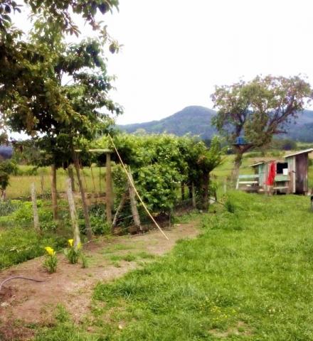 Belíssimo sítio com casa na cidade de Urubici - Santa Catarina - Foto 4