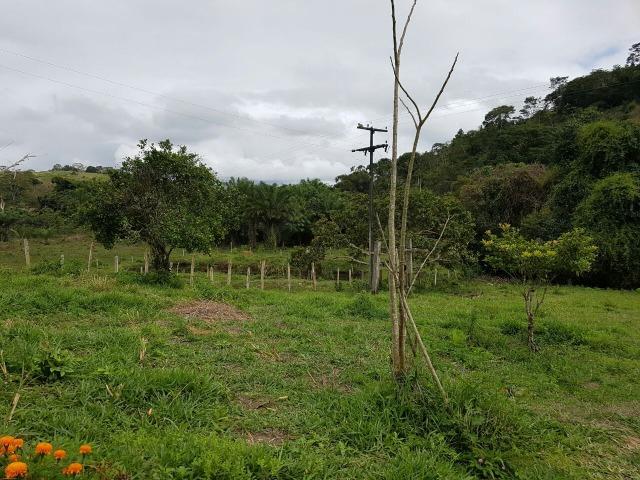 FZ 037- Fazenda Próximo a Ipiaú ? BA com 30 hectares. - Foto 6
