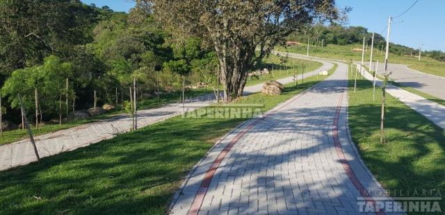 Terreno à venda em Tomazetti, Santa maria cod:10806 - Foto 16