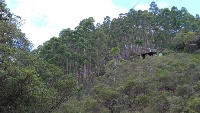 Sítio em Marechal Floriano - Foto 19