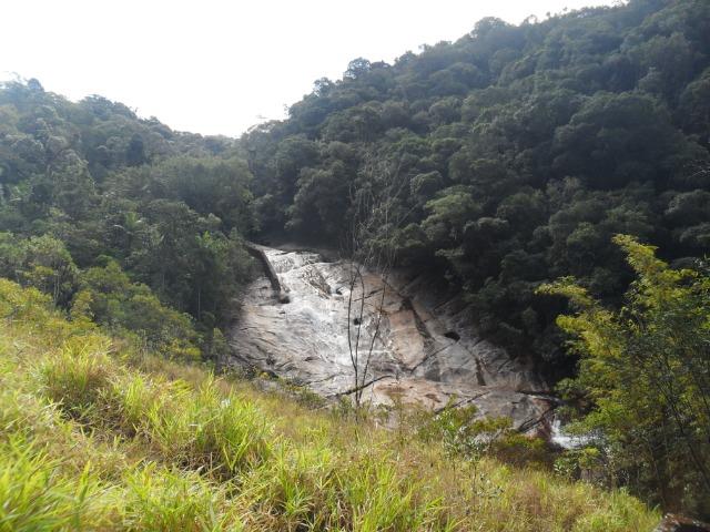 Área com mata para reserva legal - Foto 3