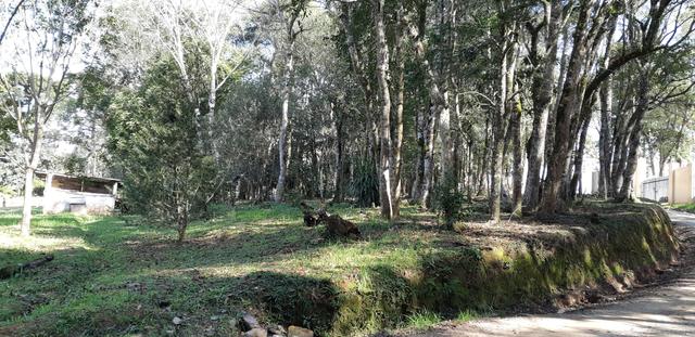Vendo ou Troco Chácara em Contenda - 3.600 m2 - Foto 16
