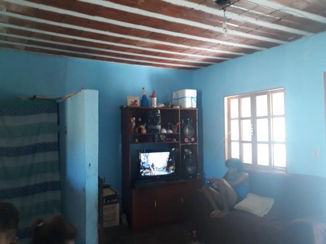:Cód: 21 Mini Sítio (Área Rural) - em Tamoios - Cabo Frio/RJ - Centro Hípico - Foto 4