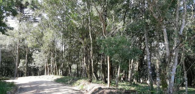 Vendo ou Troco Chácara em Contenda - 3.600 m2 - Foto 17