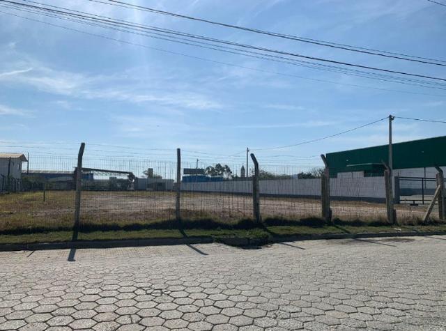 Amplo terreno à 300 metros da BR 101 - Foto 4