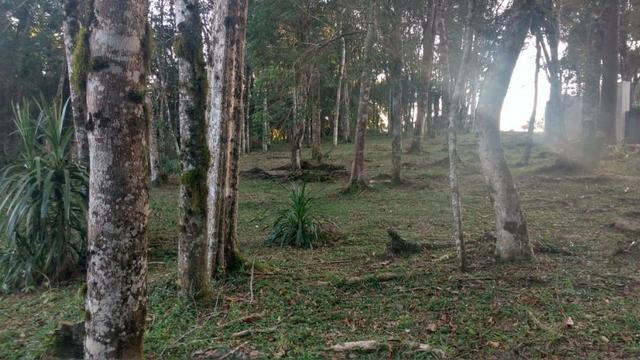 Vendo ou Troco Chácara em Contenda - 3.600 m2 - Foto 19