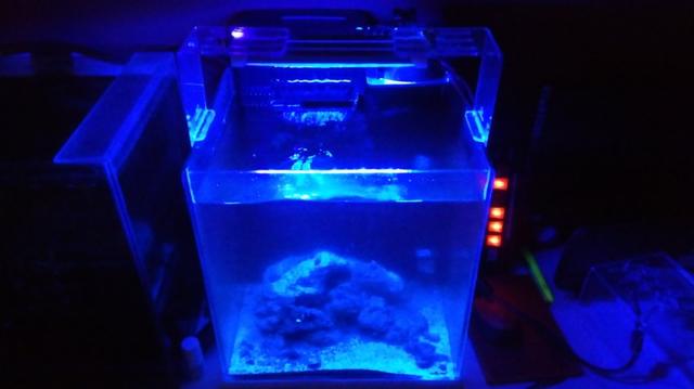 Luminária para Aquário (1 mês de uso) - Foto 3