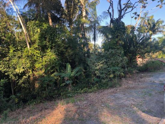 Terreno à venda, 600 m² por r$ 350.000 - bom retiro - blumenau/sc - Foto 5