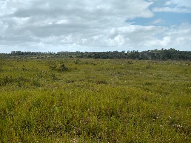 Vende-se terreno próximo a Prado - Foto 15