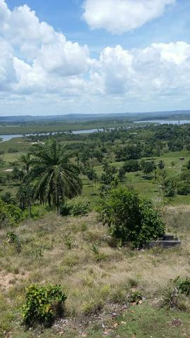 Vendo Linda Fazenda - Foto 6