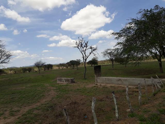 Sítio em Chã Grande, com 10 hectares. Casa sede c/4 qts, sendo 3 suítes, - Foto 16