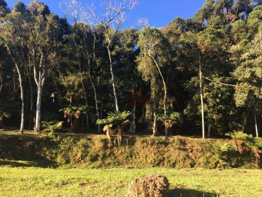 Terreno amplo no belo condomínio Quinta da Serra - Foto 18