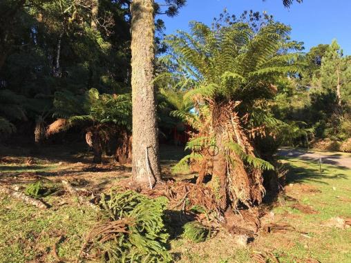 Terreno amplo no belo condomínio Quinta da Serra - Foto 11