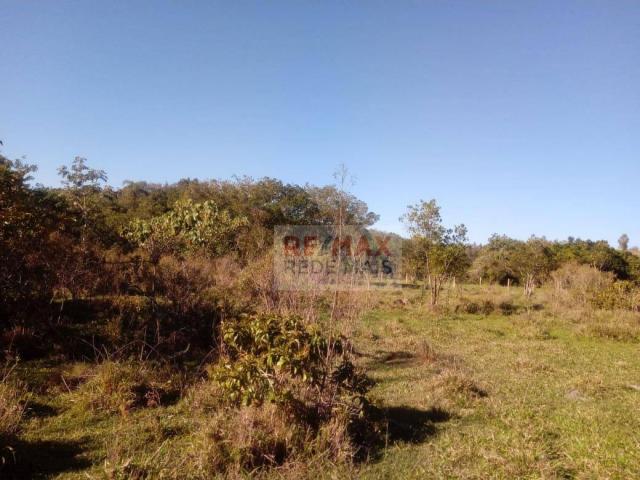 Área à venda, 48400 m² por R$ 120.000,00 - Bofete - Bofete/SP - Foto 3