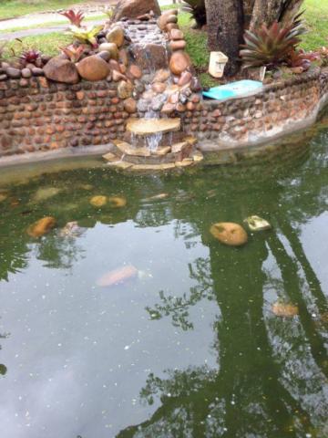 Terreno à venda em Vila nova, Porto alegre cod:TE009454 - Foto 6