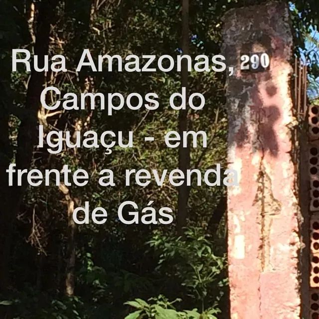 foto - Foz do Iguaçu - Jardim Claudia
