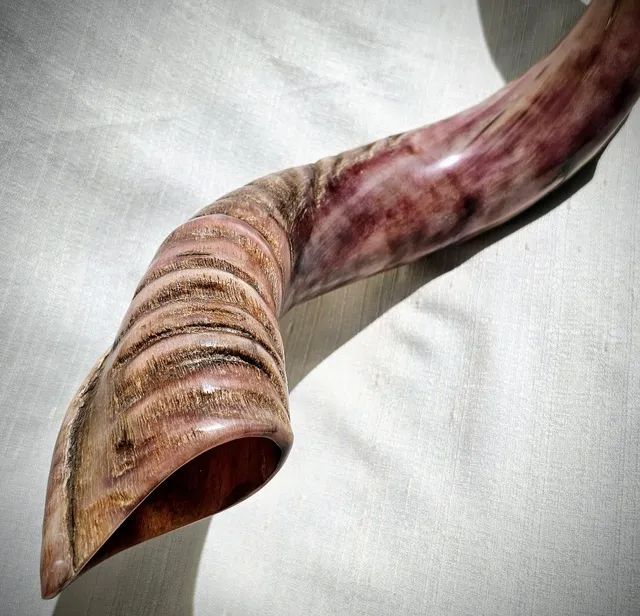 Shofar de Israel Kosher Semi Rústico Antiguidades Santa Cecília, Vitória 1185523486 OLX