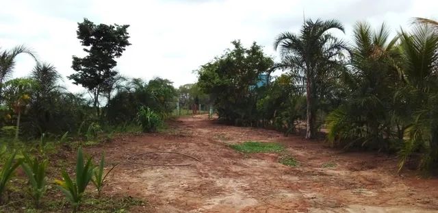 Vendo chácara  - Foto 4