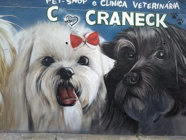 Grafiteiro letrista Pintor arte  - Foto 3