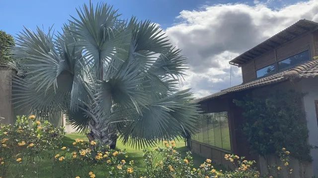 Sítio Aracruz 05  minutos do Centro - Foto 7