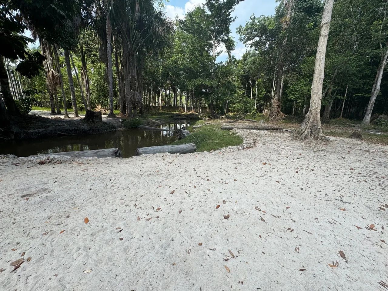 Sítio no ramal do brasileirinho  - Foto 2