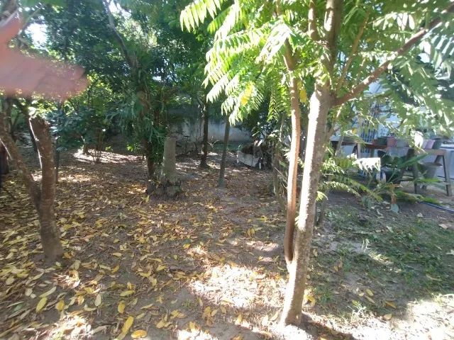 Casa Morro Cavado, Mato Alto, a 5 minutos de Campo Grande, local dos Sítios e Fazendas - Foto 8