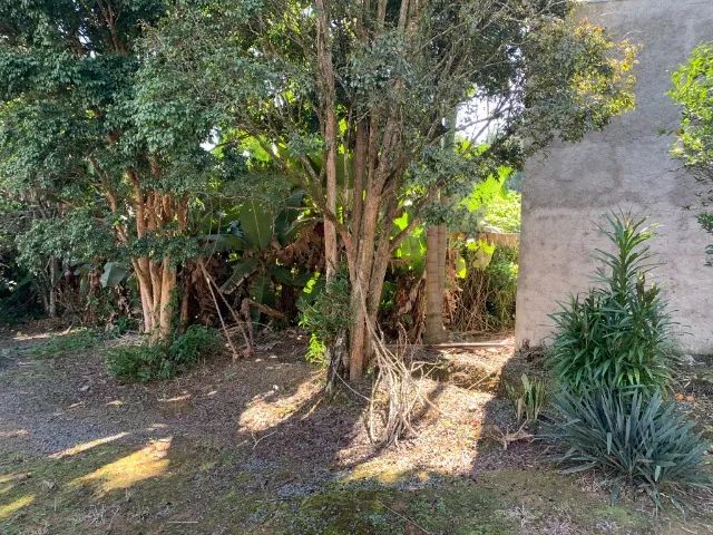 Terreno Multifamiliar na rua Philipp Bauler - Blumenau - Foto 8