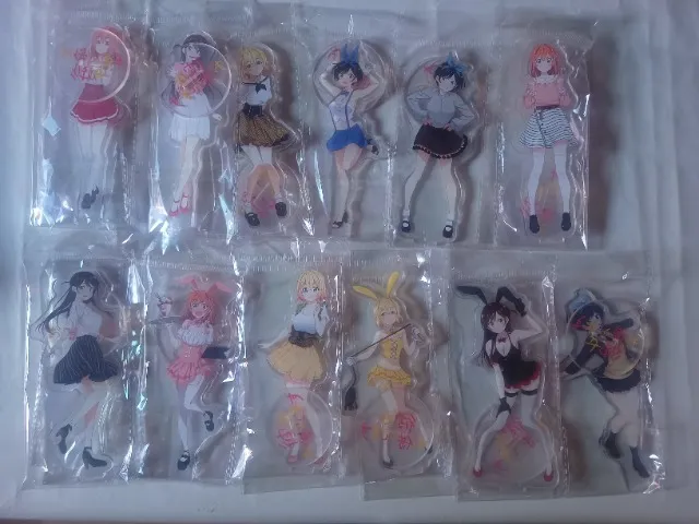 12 Figures Em Acrilico Kanojo Okarishimasu