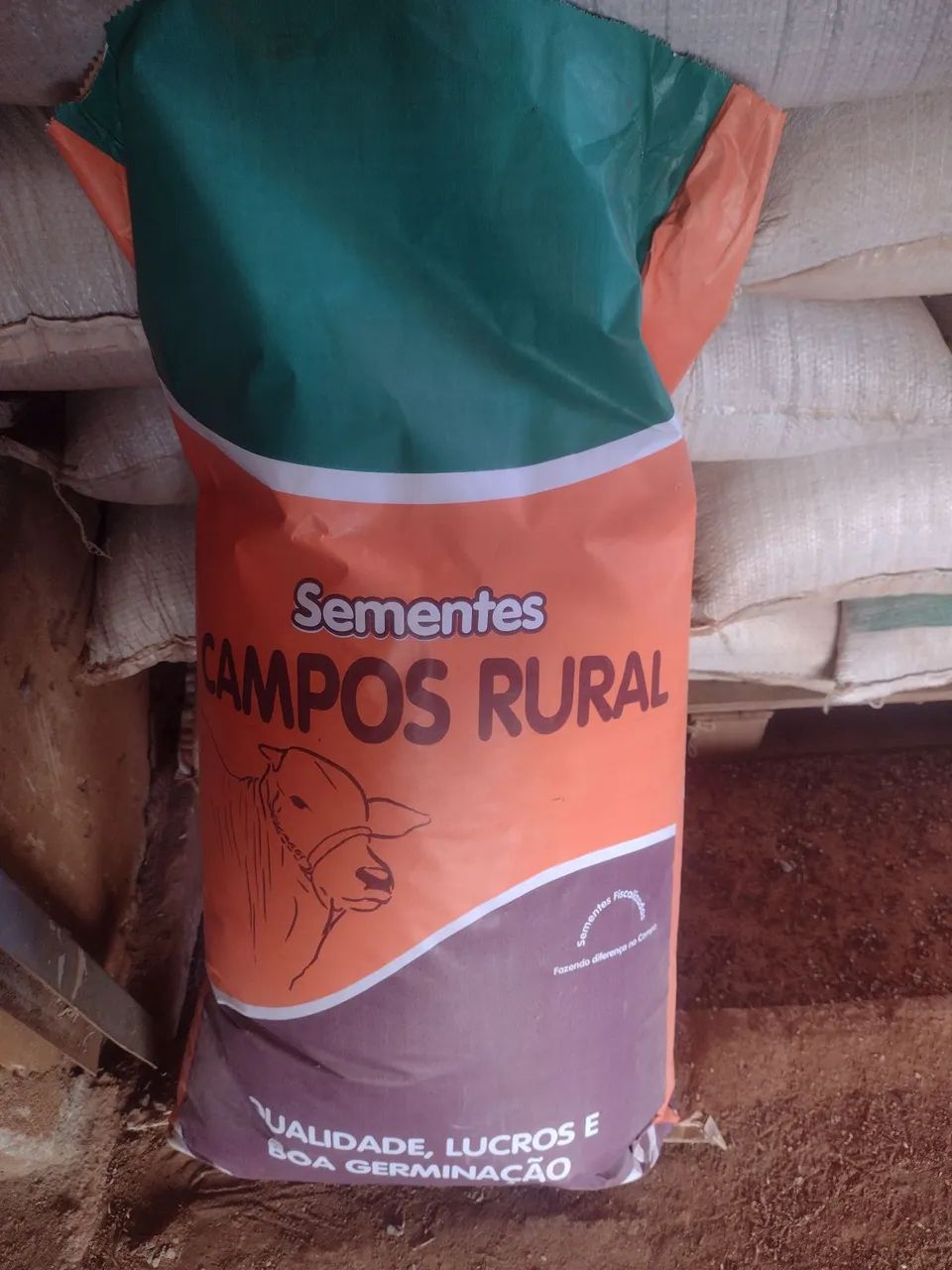 Sementes de capim p/ pastagem 