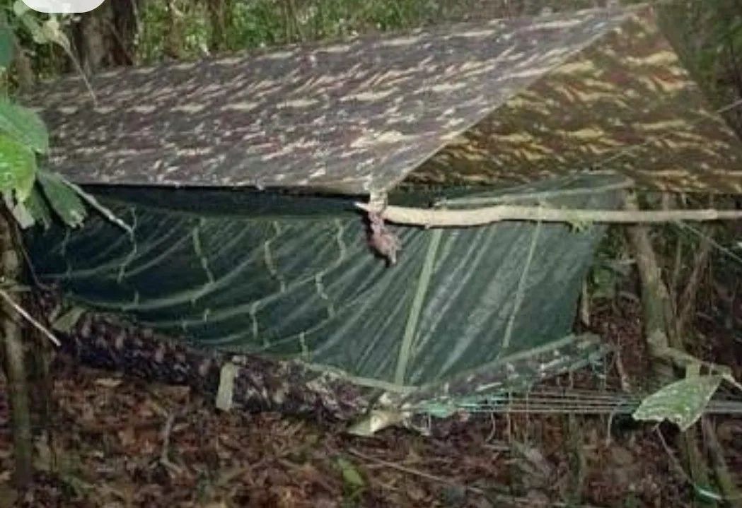 Rede de Camping com Mosquiteiro  p acampamento, pesca e caça  - Foto 2