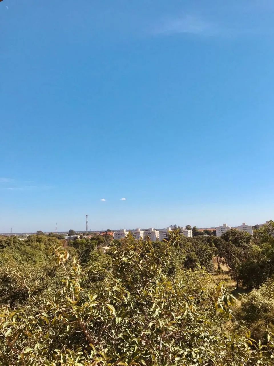 Pego veículo até 50.000.00 - Foto 2