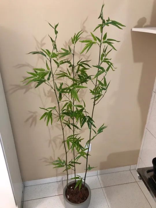 Planta Artificial (Bambuzal) - Foto 2