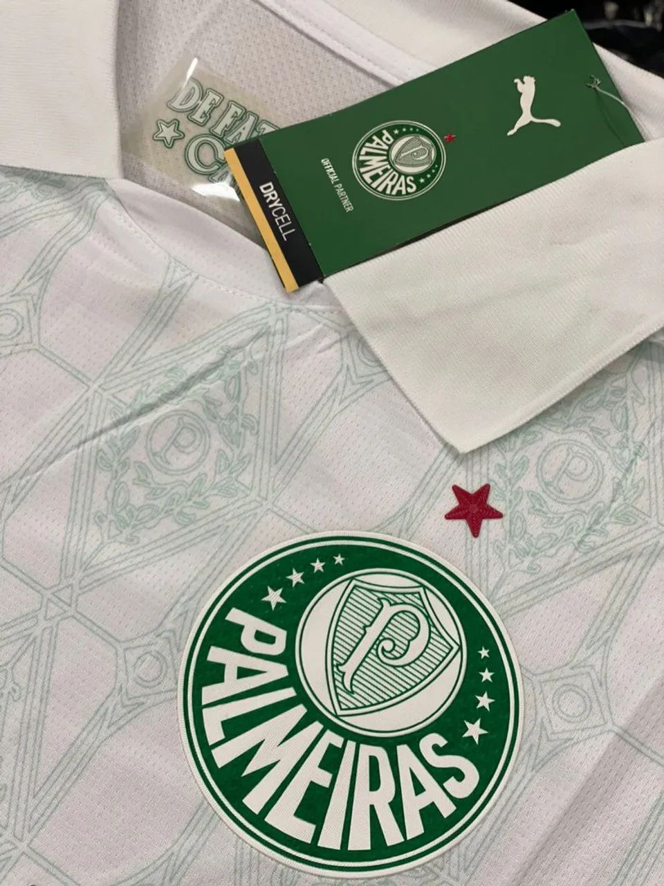 Camisa Palmeiras 25/26