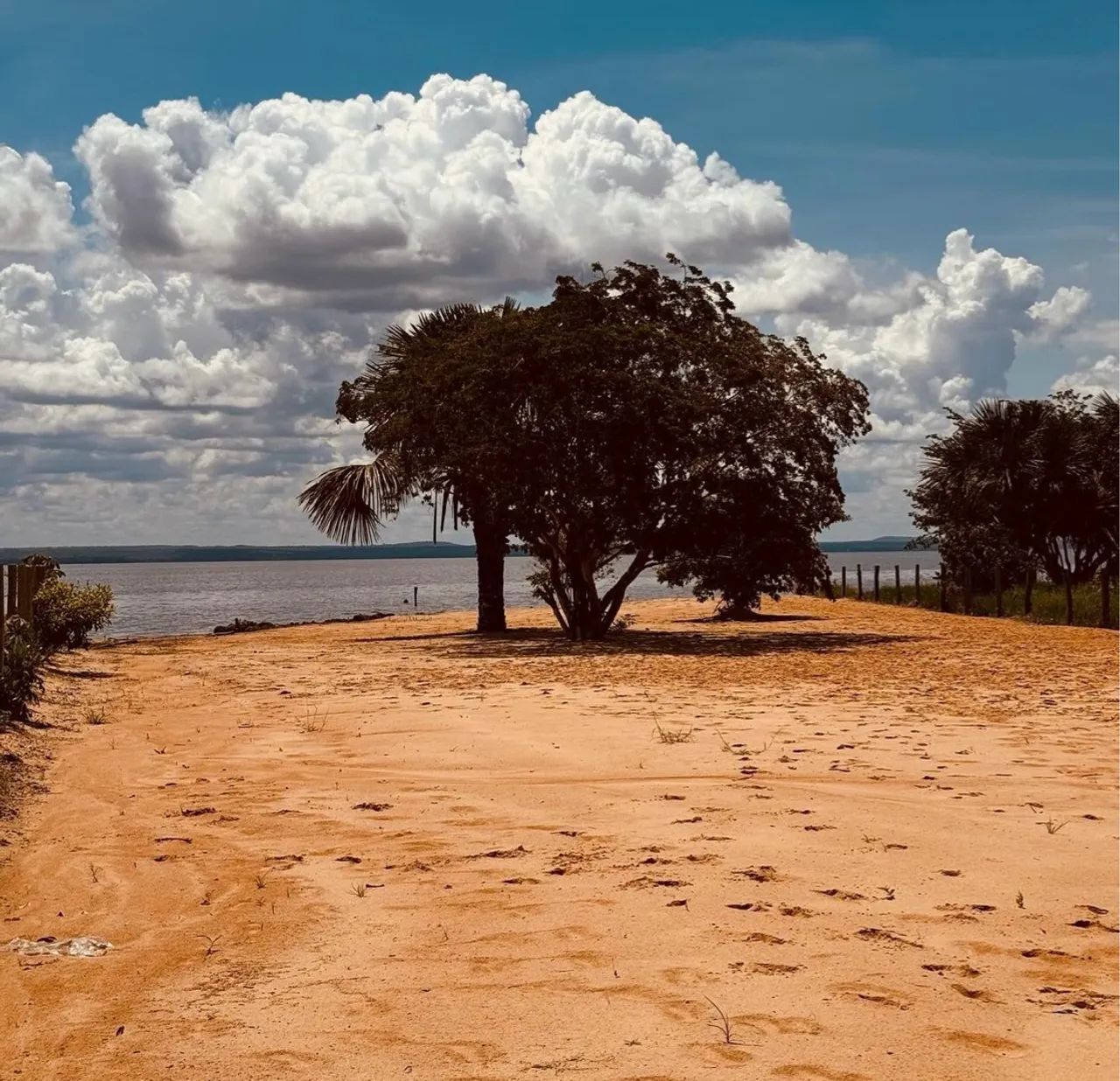 Vendo Chacara Beira Lago 50% de entrada e o restante pra 1 ano! - Foto 4
